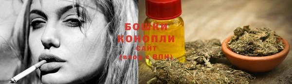 spice Белокуриха