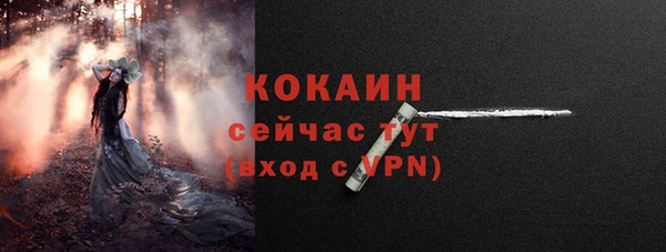 гашик Белоозёрский